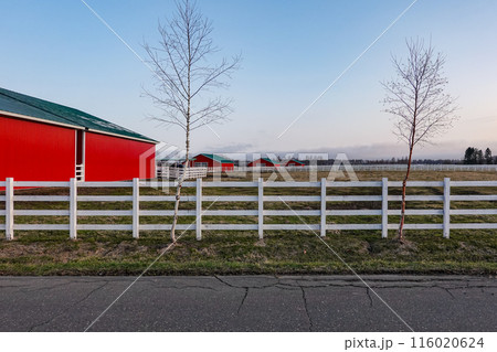 ばんえい牧場十勝（北海道帯広市） 116020624