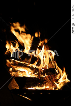 春、初夏、夏の和歌山、南紀、白浜、グランピングで焚火とブルーラグーンの海を散策、鳥毛洞窟や日置川 116020766