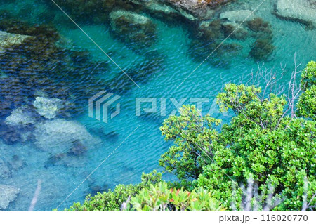 春、初夏、夏の和歌山、南紀、白浜、グランピングで焚火とブルーラグーンの海を散策、鳥毛洞窟や日置川 116020770