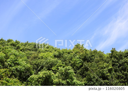春、初夏、夏の和歌山、南紀、白浜、グランピングで焚火とブルーラグーンの海を散策、鳥毛洞窟や日置川 116020805