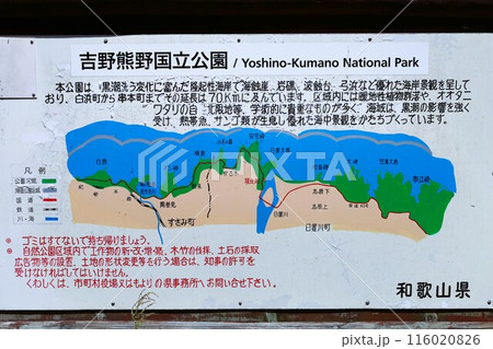 春、初夏、夏の和歌山、南紀、白浜、グランピングで焚火とブルーラグーンの海を散策、鳥毛洞窟や日置川 116020826