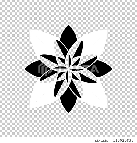 Geomatric, flower, flower geometric, geometric pattern, geometric design, design, drawing, flower, flower drawing, flower design, graphic Geomatric, flower, flower geometric, geometric pattern, geometric design, design, drawing, flower, flower drawing, flower design, graphic 116020836