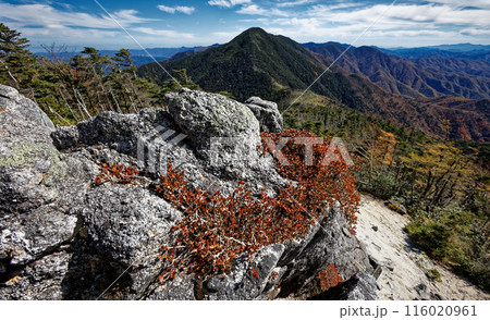 木賊山の奥秩父縦走路の紅葉と笹原・破風山の眺め 116020961