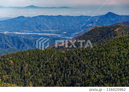 木賊山の奥秩父縦走路から見る秩父市街・武甲山と筑波山 116020962