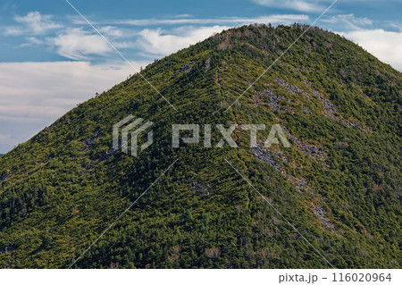 木賊山の奥秩父縦走路から見る破風山山頂 116020964