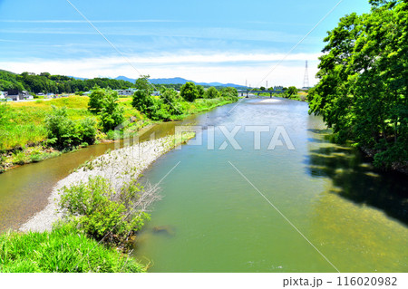 箕輪橋／天竜川より下流方向を望む(長野県箕輪町)【2024.6】 116020982