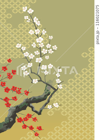 梅　紅梅白梅　七宝　利休 116021075