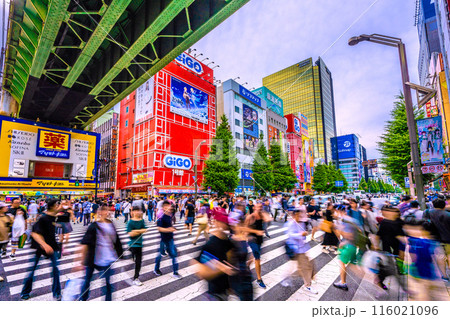 日本の東京都市景観 復活インバウンド…外国人観光客（アジア系、中国人、韓国人…）らで賑わう秋葉原 116021096