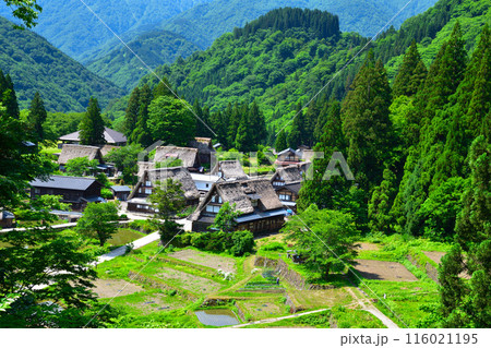 春　五箇山　相倉集落 116021195