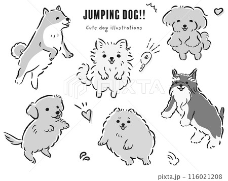 ジャンプする犬たちのイラストセット ジャンプする犬たちのイラストセット 116021208