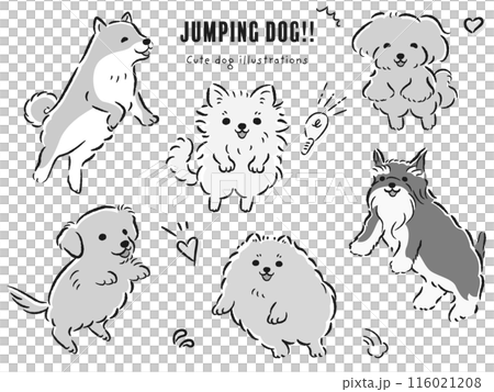 ジャンプする犬たちのイラストセット ジャンプする犬たちのイラストセット 116021208
