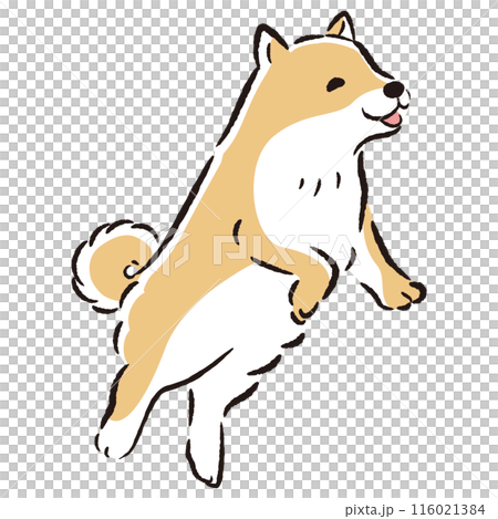 一隻跳躍的狗的插圖 116021384