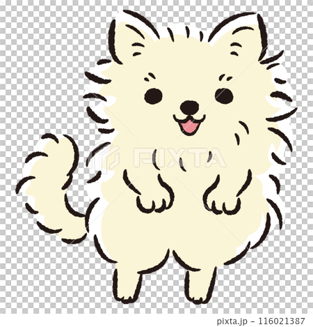 ジャンプする犬のイラスト 116021387