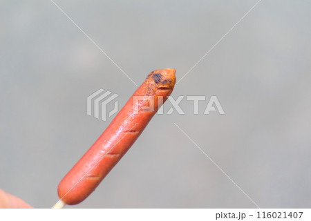 味しさが伝わるフランクフルトの一枚 116021407