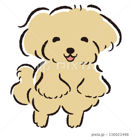 ジャンプする犬のイラスト ジャンプする犬のイラスト 116021498