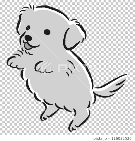 Jumping dog illustration 116021526