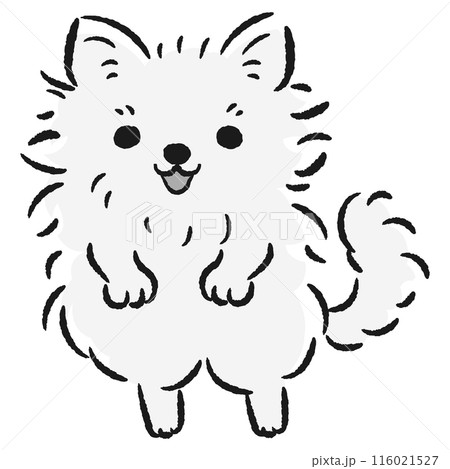 ジャンプする犬のイラスト ジャンプする犬のイラスト 116021527