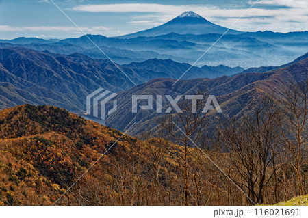 奥秩父・笹平から見る紅葉の山並みと富士山 奥秩父・笹平から見る紅葉の山並みと富士山 116021691