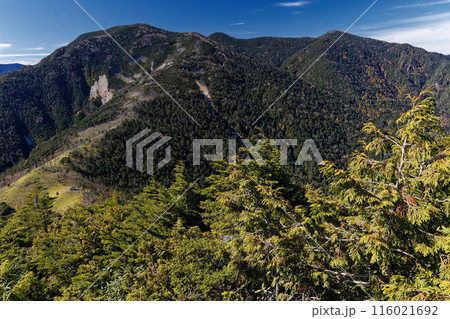 奥秩父・破風山の登りから見る木賊山・甲武信岳・三宝山 奥秩父・破風山の登りから見る木賊山・甲武信岳・三宝山 116021692