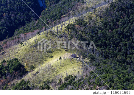 奥秩父・破風山の登りから見る笹平避難小屋 116021693