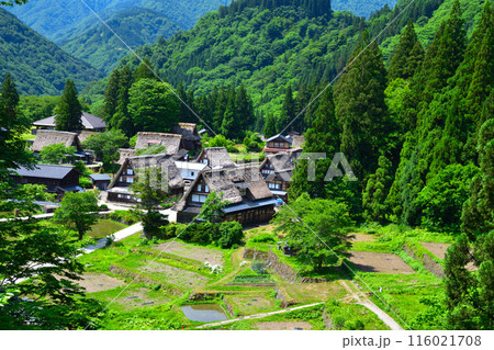 初夏　五箇山　相倉集落 116021708