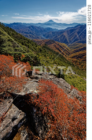 奥秩父・破風山の登りの紅葉と富士山の眺め 奥秩父・破風山の登りの紅葉と富士山の眺め 116021728