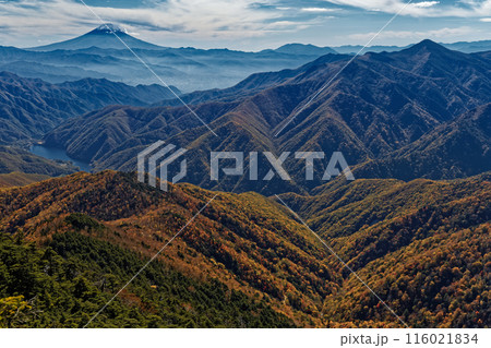 奥秩父・笹平から見る紅葉の山並みと富士山 116021834