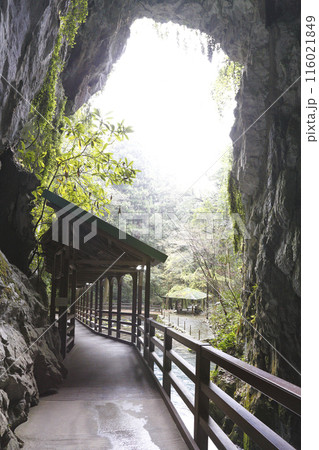 山口秋芳洞出口付近 116021849