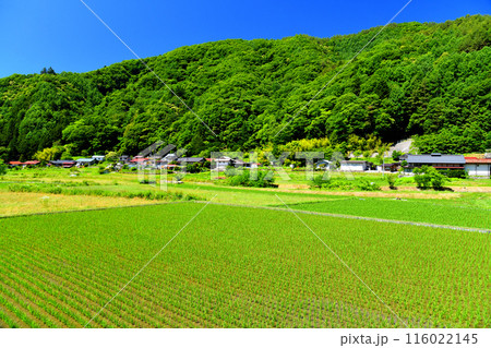長野県伊那市高遠町藤沢の風景(長野県伊那市)【2024.6】 116022145