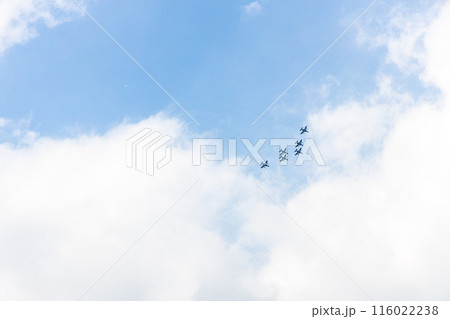 ブルーインパルスの航空ショー 116022238