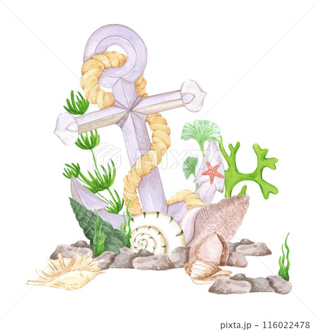 Hand drawn watercolor anchor and seashells composition isolated on white background. Marine illustration can be used for card, label, invitation and other printed products. Hand drawn watercolor anchor and seashells composition isolated on white background. Marine illustration can be used for card, label, invitation and other printed products. 116022478