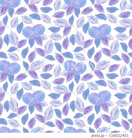 Hand drawn watercolor purple walnut with leaves seamless pattern isolated on white background. Can be used for textile, fabric, wrapping and other printed products. 116022481