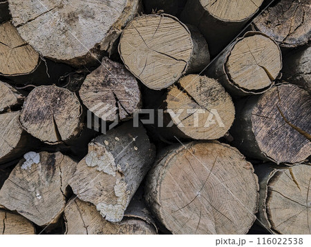 texture of weathered wood cuts, background, grunge texture of weathered wood cuts, background, grunge 116022538