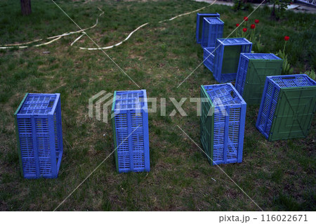plastic boxes for vegetables lie on the grass plastic boxes for vegetables lie on the grass 116022671
