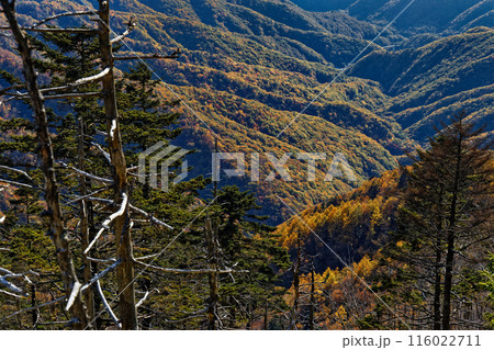 破風山・雁坂嶺稜線から見る紅葉の山肌 破風山・雁坂嶺稜線から見る紅葉の山肌 116022711