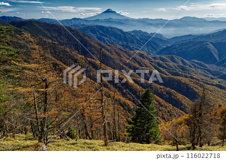 奥秩父縦走路・雁坂峠付近から見る富士山 奥秩父縦走路・雁坂峠付近から見る富士山 116022718