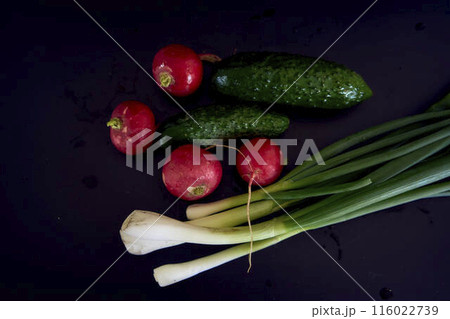 the first spring vegetables on a black background, green onion, radish, cucumber 116022739