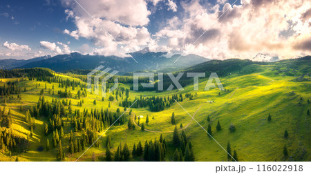 Aerial view of green alpine meadows on the hills at sunset Aerial view of green alpine meadows on the hills at sunset 116022918