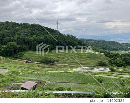 棚田のある風景 棚田のある風景 116023224