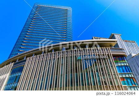 大阪府 大阪市 大阪駅周辺の都市風景(グランフロント大阪) 大阪府 大阪市 大阪駅周辺の都市風景(グランフロント大阪) 116024064