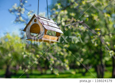 Bird feeder hanging on apple tree. Branch of apple tree with bird house. Nest box in public park for bird feed. Bird feeder hanging on apple tree. Branch of apple tree with bird house. Nest box in public park for bird feed. 116024179