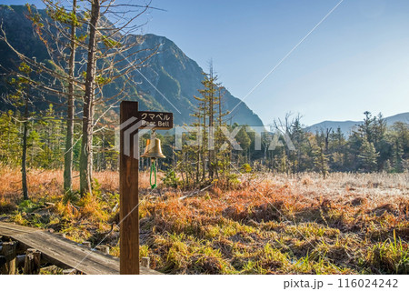 秋の上高地《朝景色》岳沢湿原周辺の遊歩道 116024242