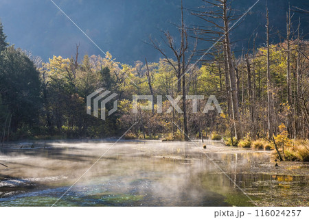 秋の上高地《朝景色》朝もやの岳沢湿原 116024257