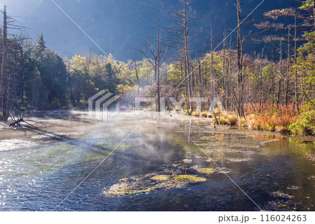 秋の上高地《朝景色》朝霧の岳沢湿原 秋の上高地《朝景色》朝霧の岳沢湿原 116024263