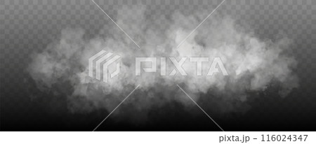 White smoke cloud isolated on transparent background. Vector smoke or fog 116024347