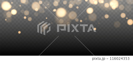 Gold bokeh lights isolated. Vector background with gold sparkles 116024353