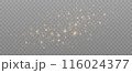 Gold sparkles background. Vector shining particles 116024377