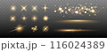 Set of Shine glowing stars. Vector Golden Sparks isolated. 116024389