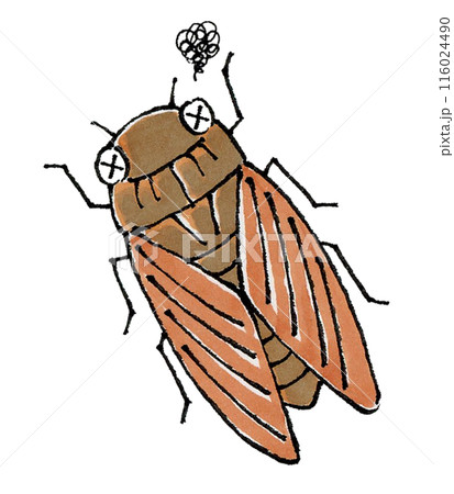 瀕死のアブラゼミ 116024490