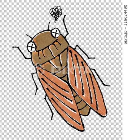 瀕死のアブラゼミ 116024490